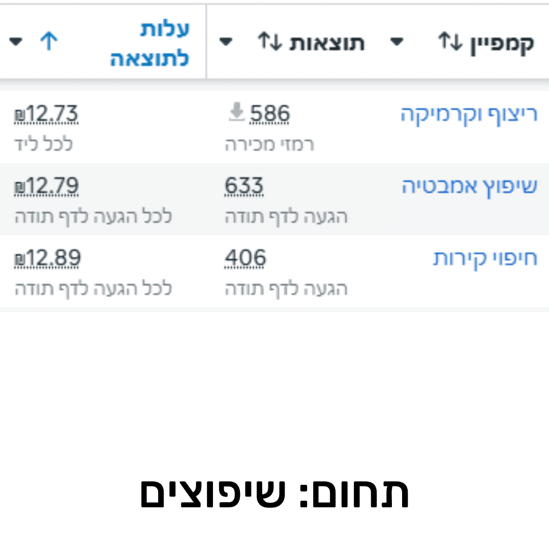 תוצאות קמפיין 1