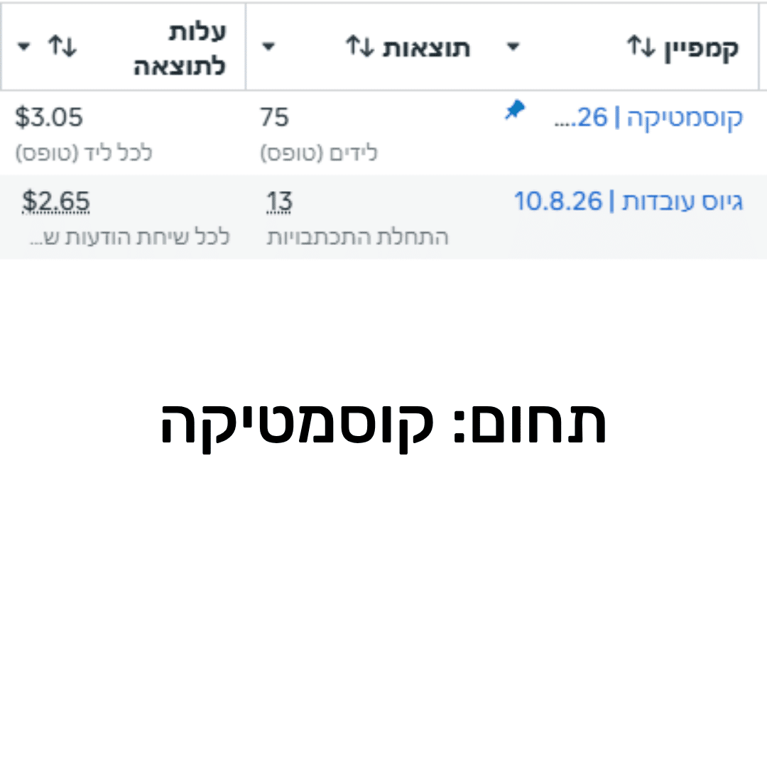 תוצאות קמפיין 2