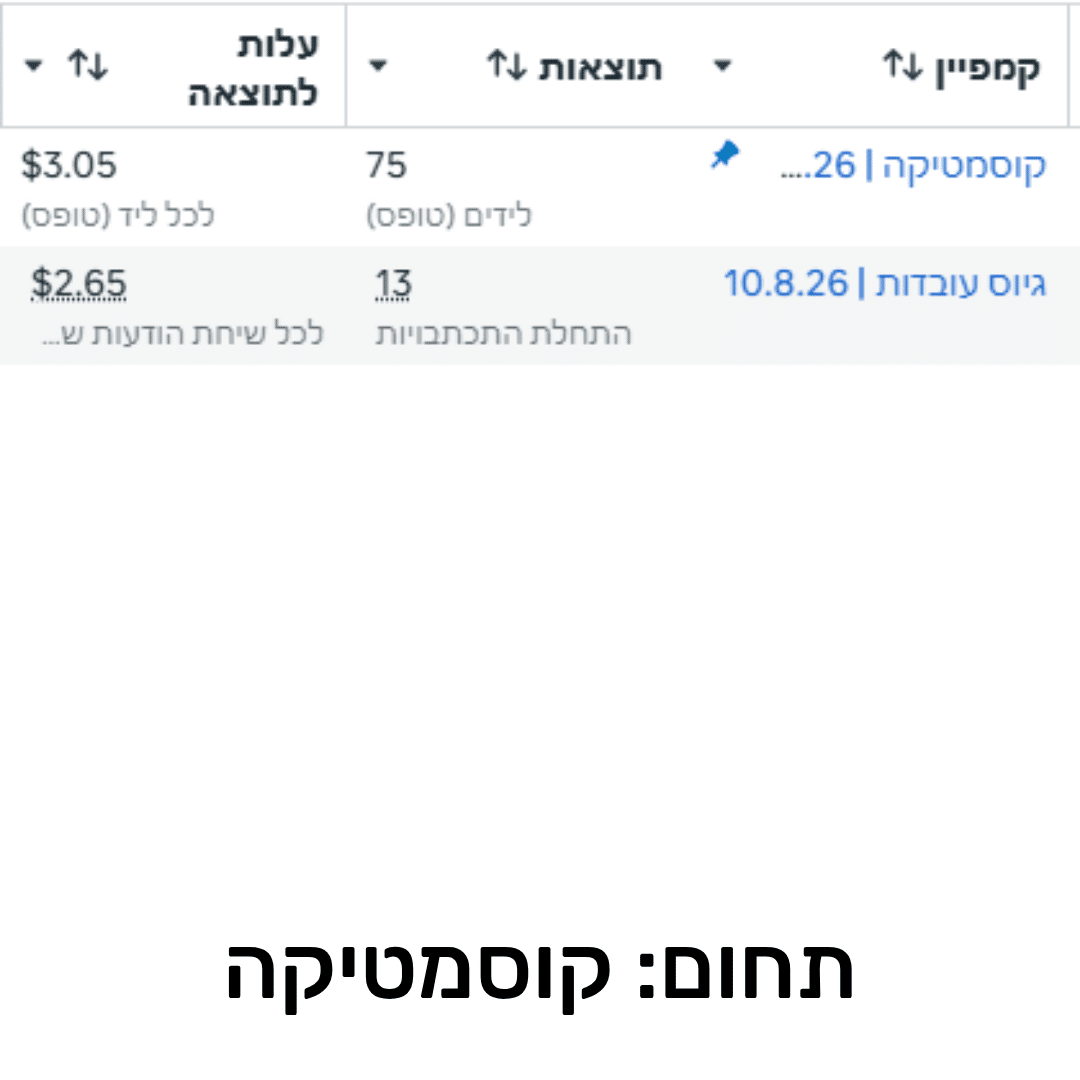 תוצאות קמפיין 3